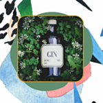 Gin