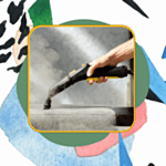 Steam Cleaners